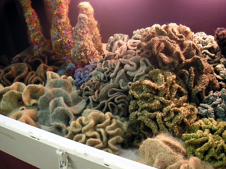 Crochet hyperbolic kelp. Photo: Institute for Figuring.