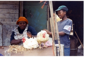 Chickens in Nyanga