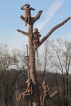 Monkey Tree at Grandview